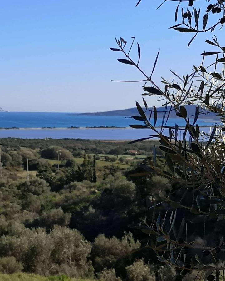 Coro E Bentu & View Maison d'hôtes San Teodoro (Sardinia)